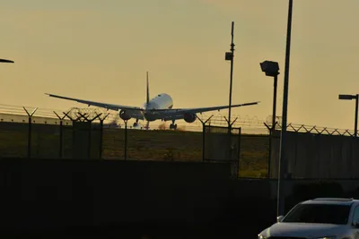 DSC_5710 (Large).JPG